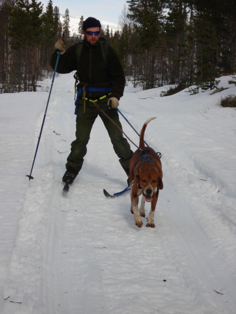 Snorekjoring